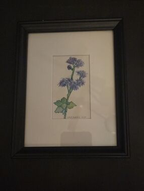 Framed Botanical Art Print with Purple Flowers
